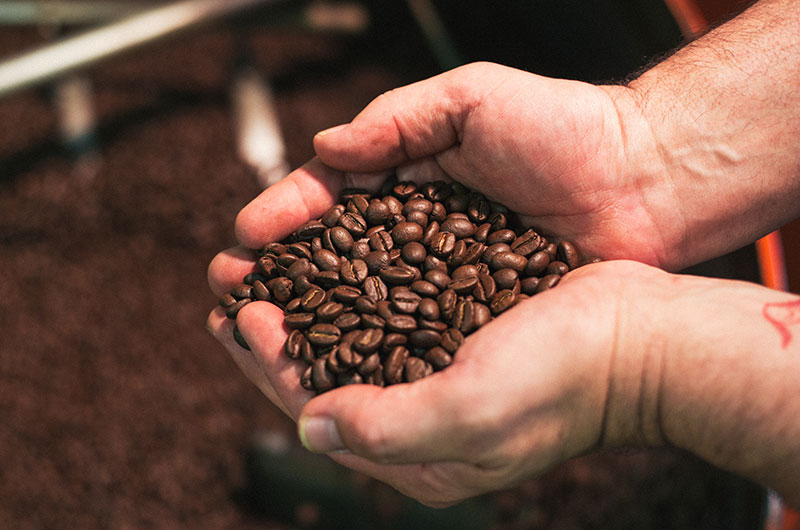 The Beans Are The Means The Beans Are The Means